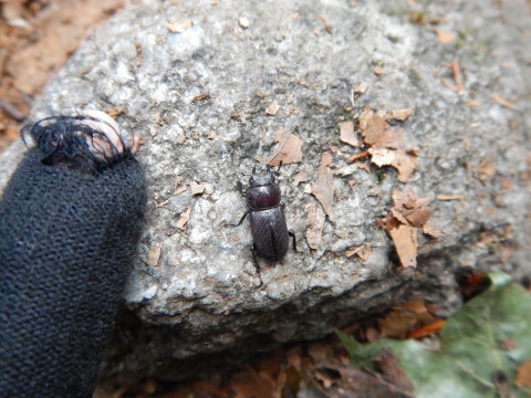 f0118332_16013583.jpg