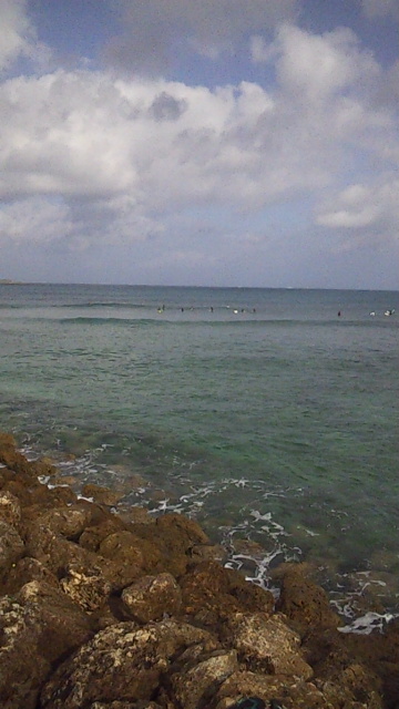 a0167335_21272715.jpg