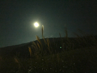 b0325640_1753256.jpg