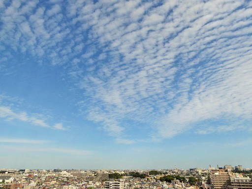 d0288144_14363469.jpg