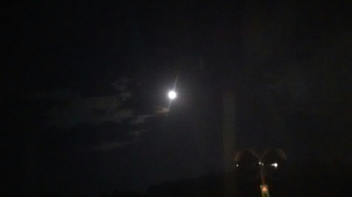 e0352849_00022692.jpg