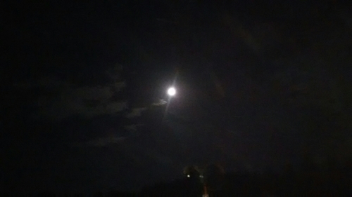e0352849_00023033.jpg