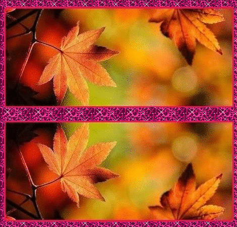 b0133752_15121753.gif