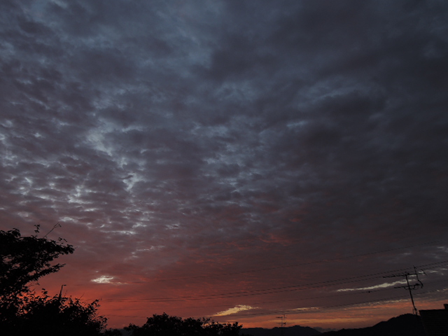 a0250553_901687.jpg