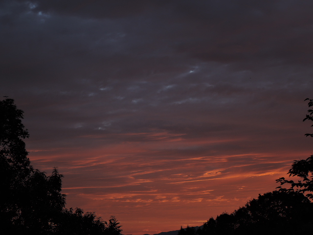 a0250553_9123677.jpg