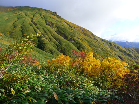d0007657_1339122.jpg