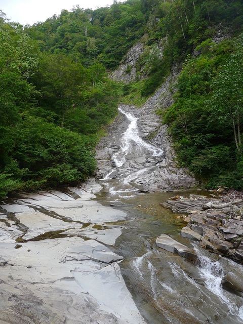 d0007657_8401562.jpg