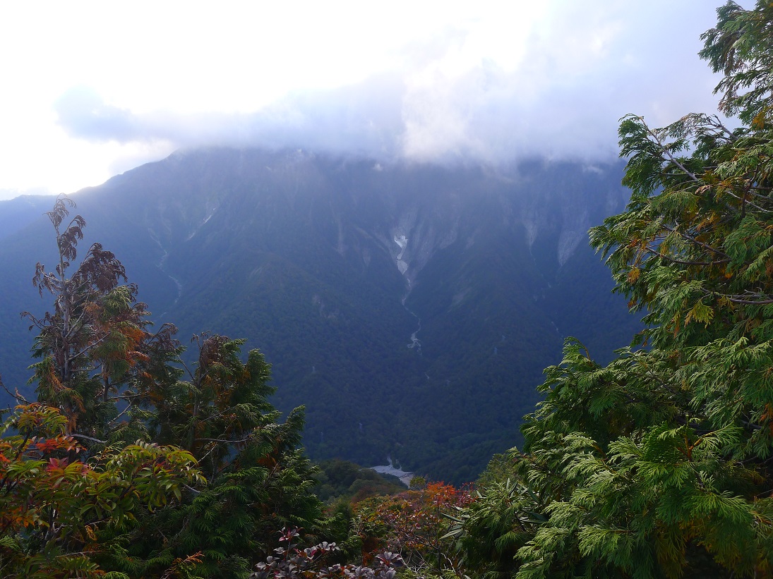 d0007657_8502465.jpg