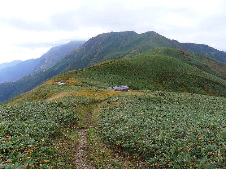 d0007657_9451466.jpg