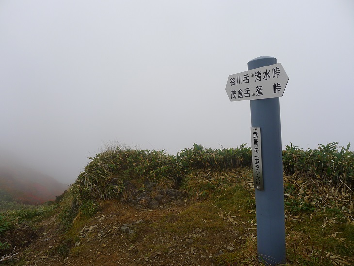 d0007657_9494698.jpg