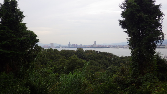 f0201157_11053985.jpg