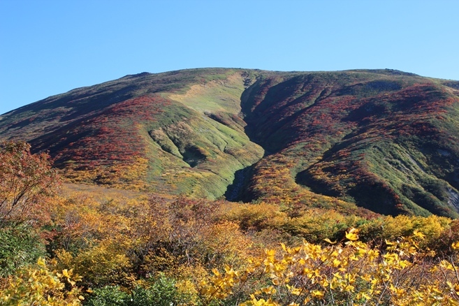 e0239458_22250091.jpg