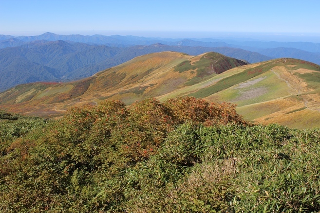 e0239458_22330851.jpg