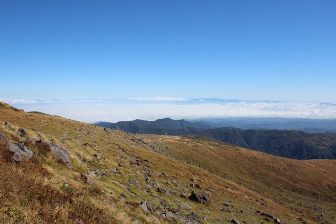 e0239458_22351238.jpg