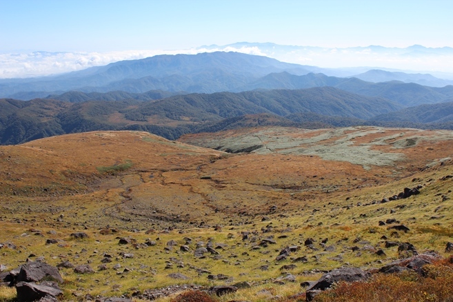 e0239458_22361006.jpg