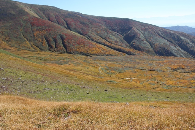 e0239458_23241031.jpg