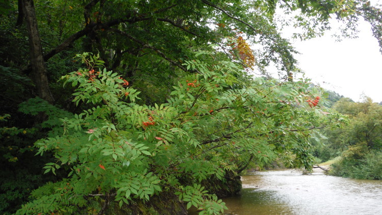 b0304662_15122034.jpg