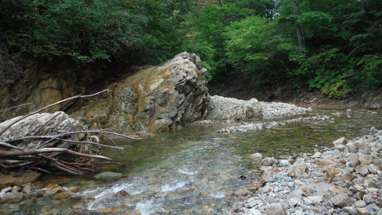 b0304662_19593833.jpg