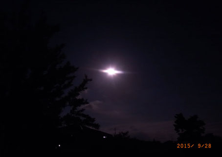 b0075364_21175085.jpg