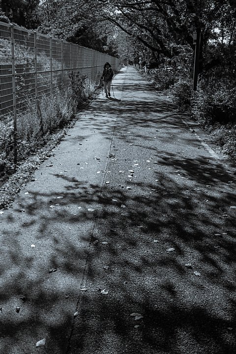 b0175964_1474941.jpg
