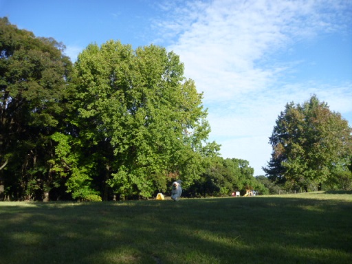 e0161972_1143779.jpg