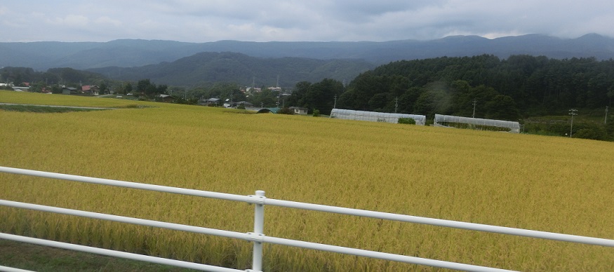 d0147774_19502943.jpg