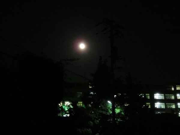 e0264374_12030881.jpg
