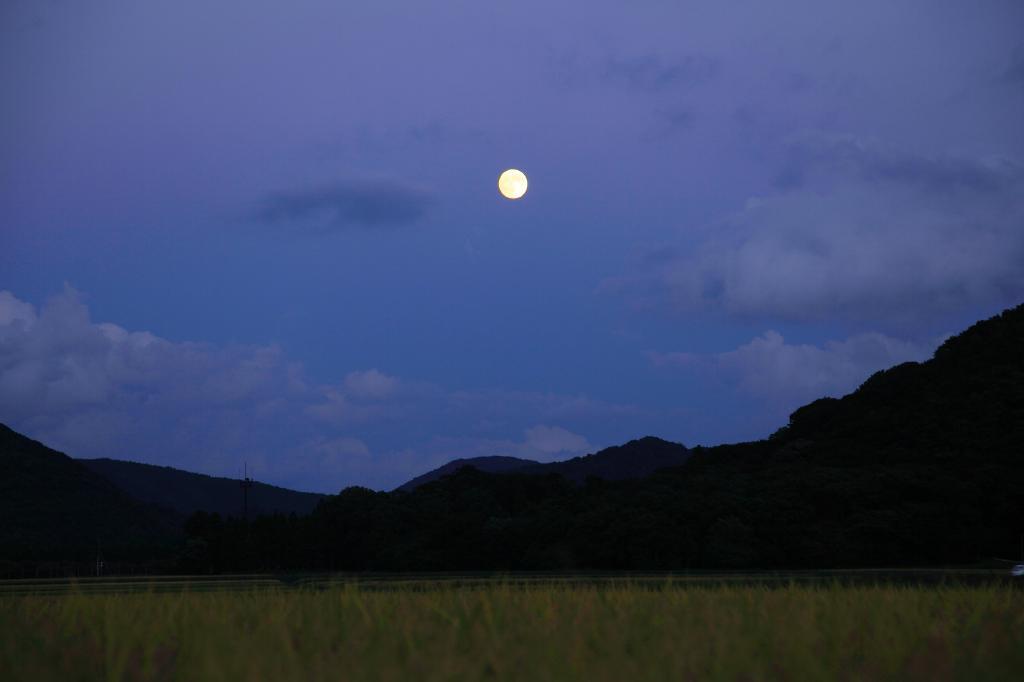 c0356480_23234228.jpg