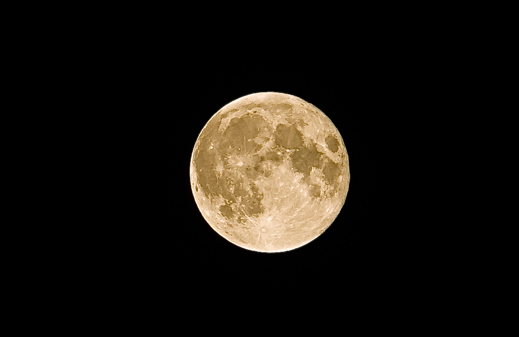 a0198883_8384368.jpg