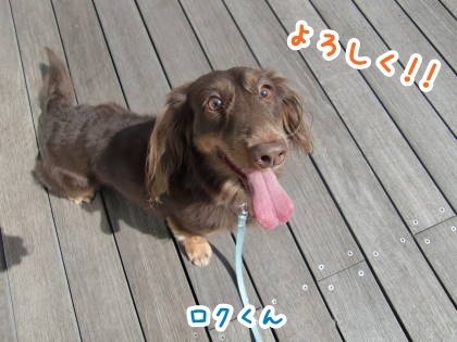 a0338800_09032500.jpg