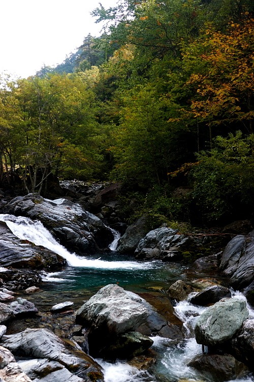 c0339900_20585559.jpg