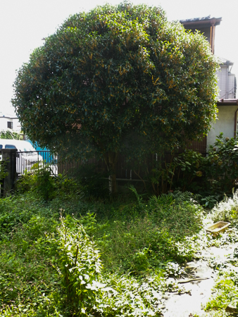 f0239100_021775.jpg