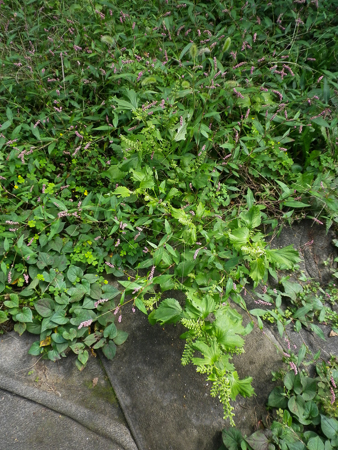 f0239100_024611.jpg