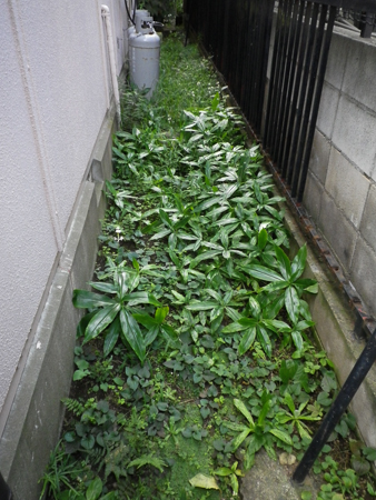 f0239100_0283256.jpg