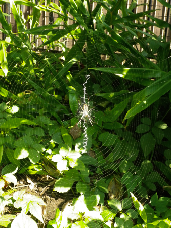 f0239100_03575.jpg