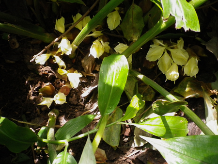 f0239100_1134537.jpg