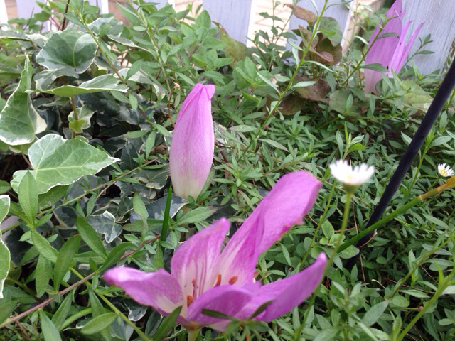 f0162908_21381698.jpg
