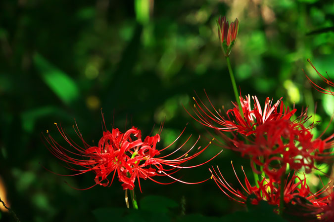 a0263109_10212051.jpg