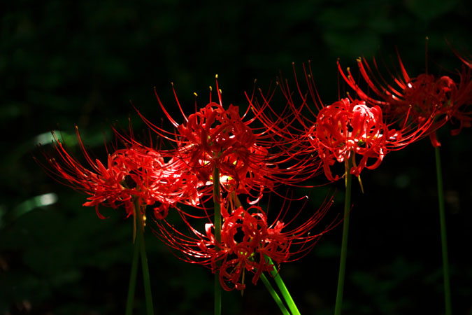 a0263109_10213896.jpg