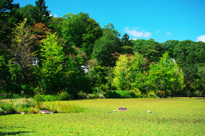 a0263109_1614239.jpg