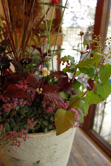 c0167112_17394311.jpg