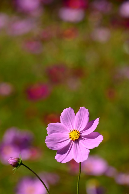 f0046614_1455576.jpg