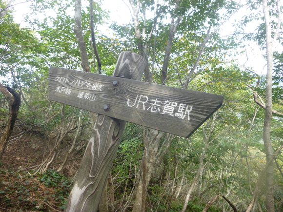 d0170615_13254014.jpg