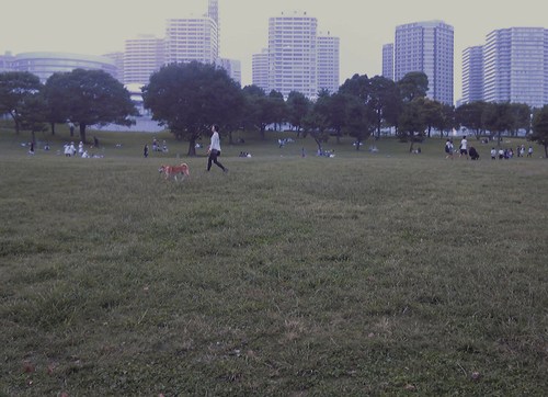 b0285619_14313375.jpg