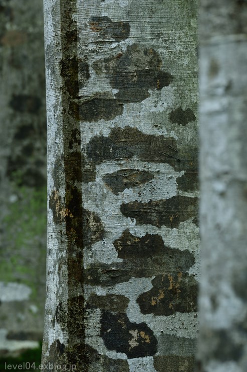d0319222_10225531.jpg