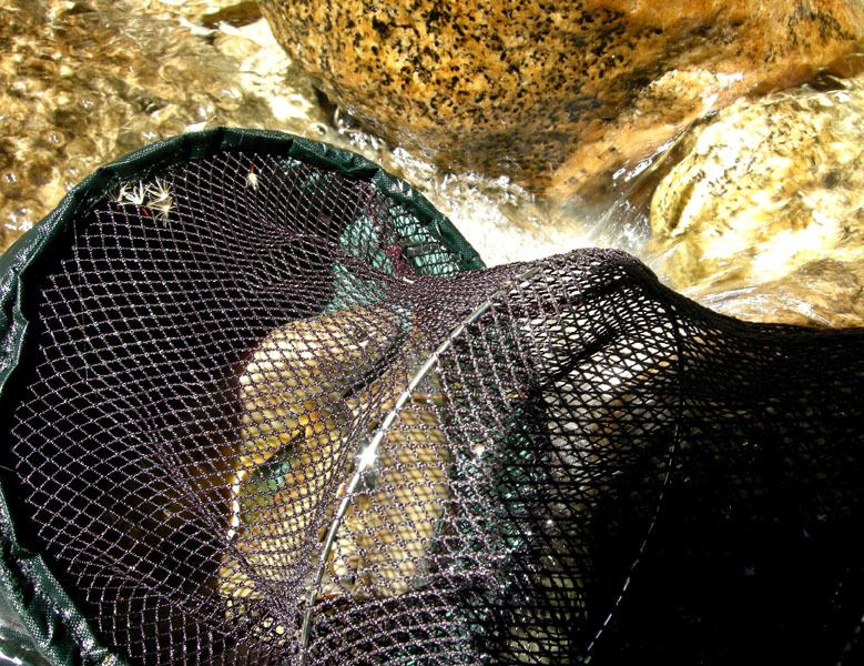 f0207325_16012536.jpg