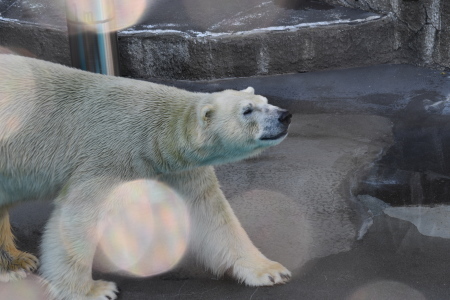 f0344626_01022227.jpg