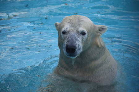 f0344626_01032319.jpg