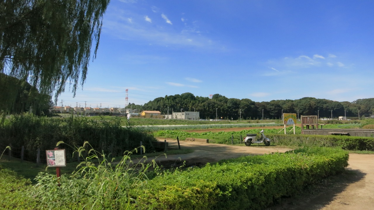 f0225627_20531597.jpg