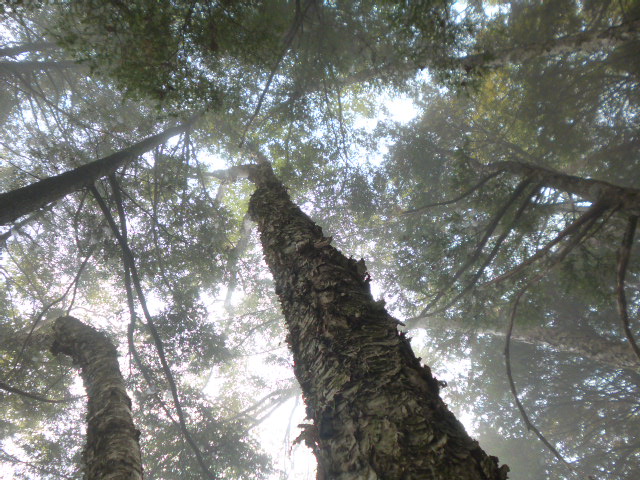 a0220528_21102929.jpg